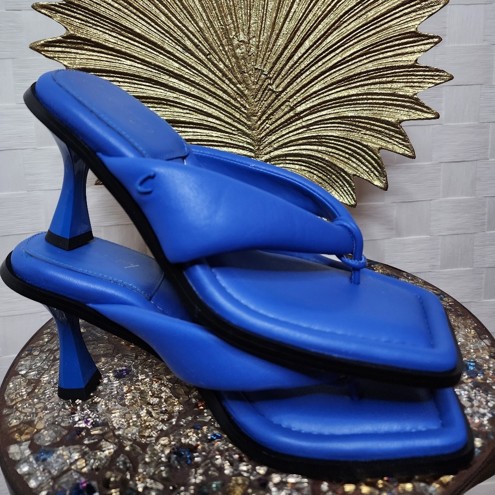 Women Cobalt Blue Thong Sandal